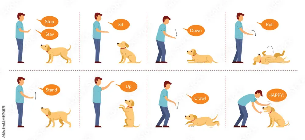 Sit in german dog command