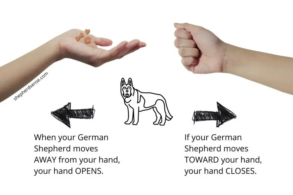 Sit in german dog command