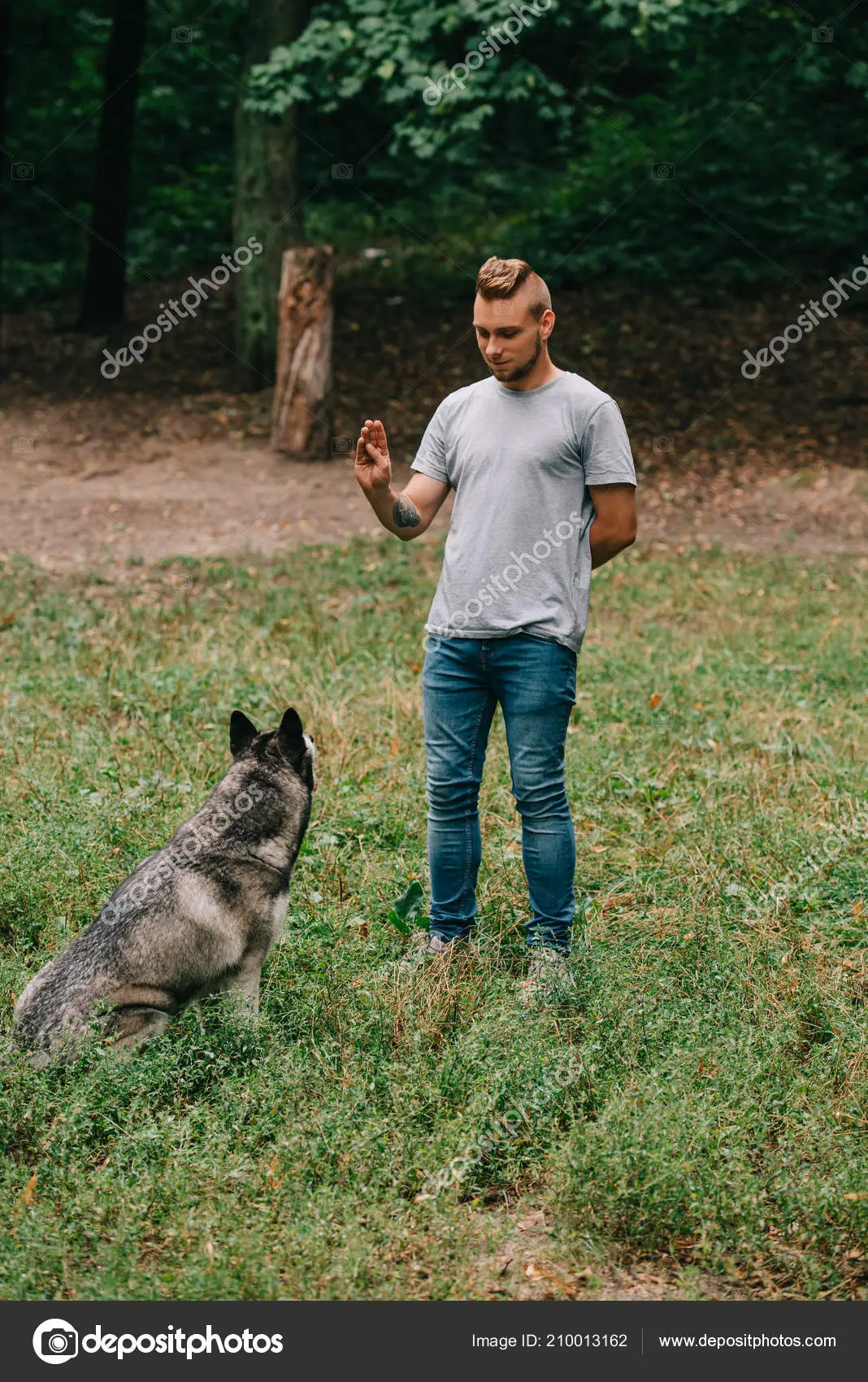 Sit in german dog command