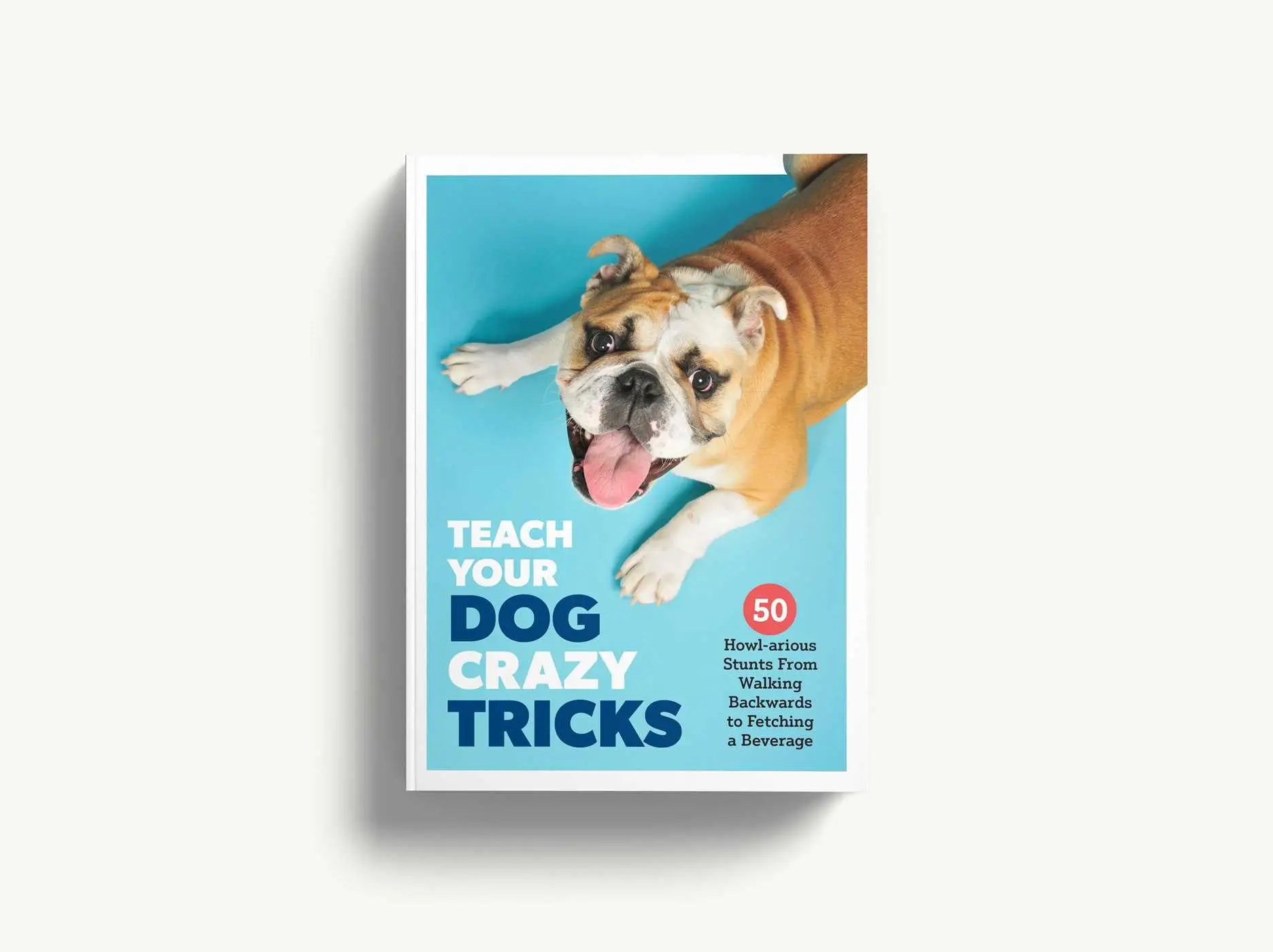 Basic Tricks to Teach Dogs