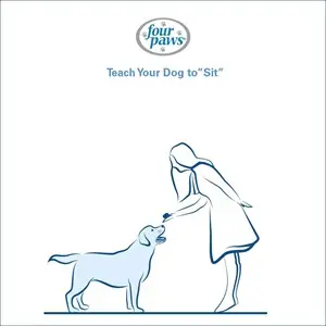 Basic Tricks to Teach Dogs