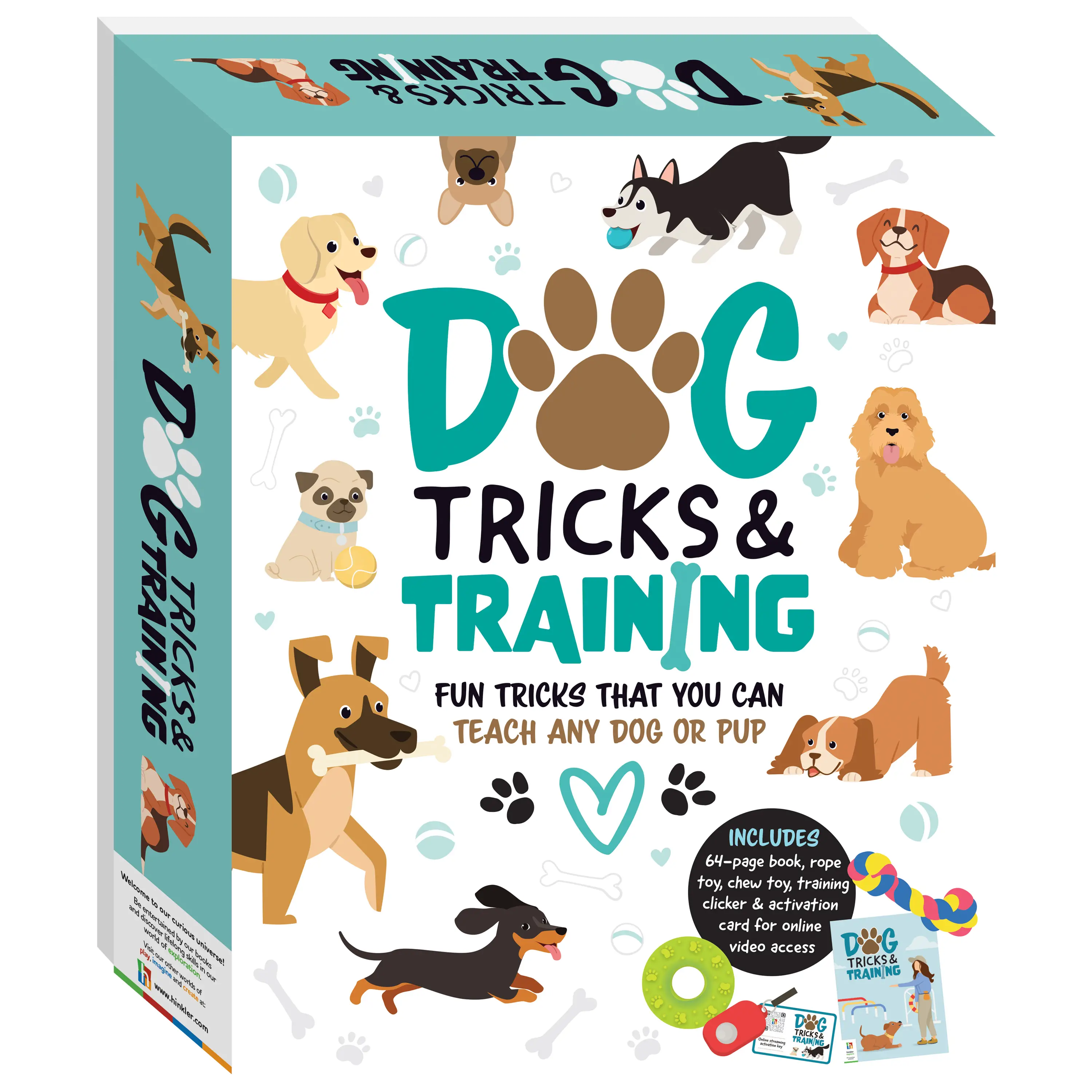Basic Tricks to Teach Dogs