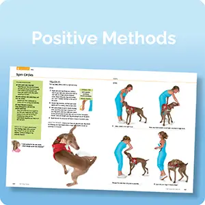 Simple Tricks to Teach Your Dog