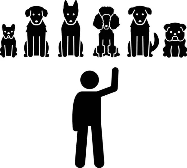 List of Dog Commands and Hand Signals