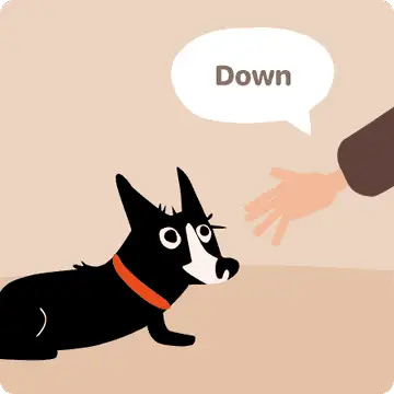 List of Dog Commands and Hand Signals