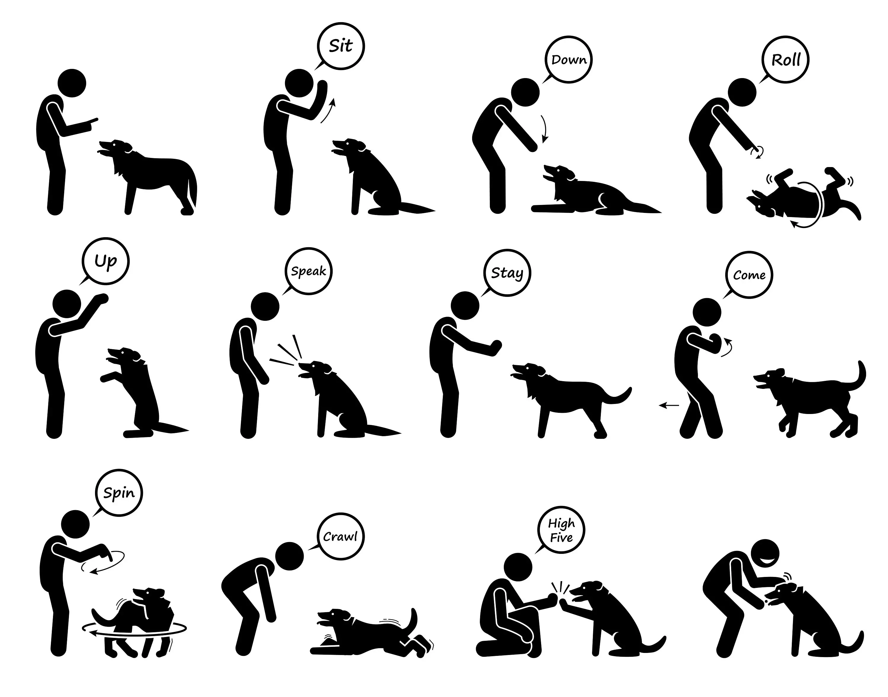 List of Dog Commands and Hand Signals