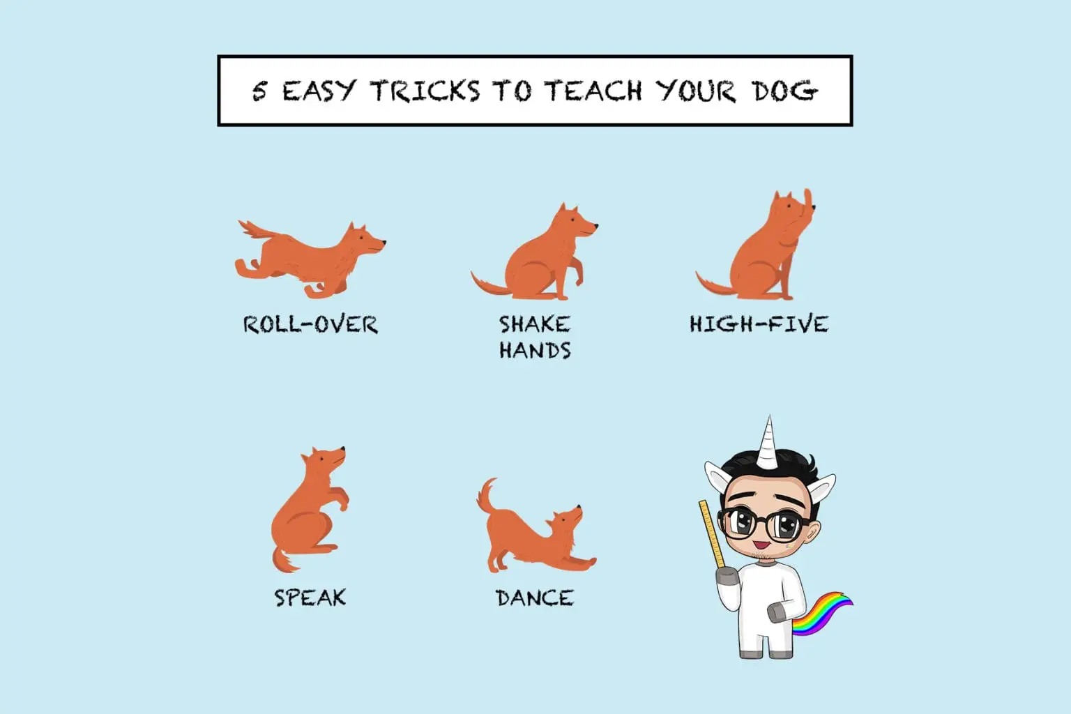 Cool Tricks for Dogs to Learn
