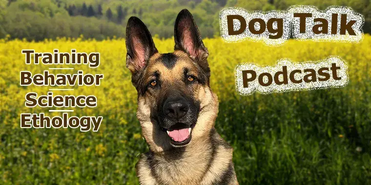 Dog commands in german with pronunciation