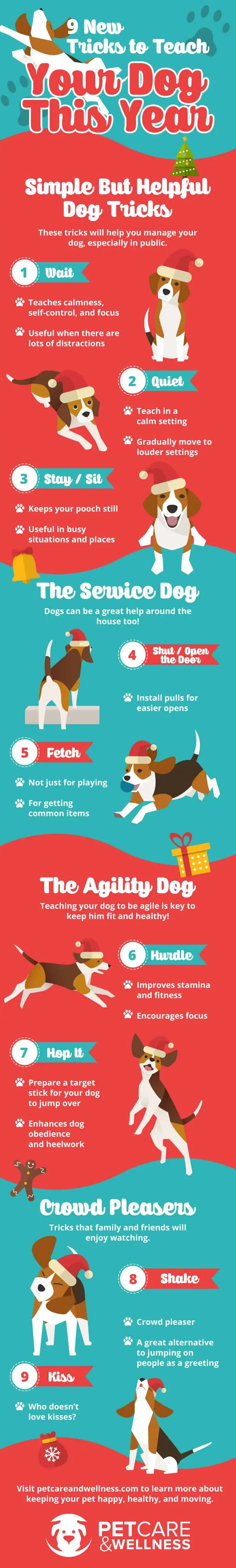 The Best Dog Tricks to Teach Your Dog