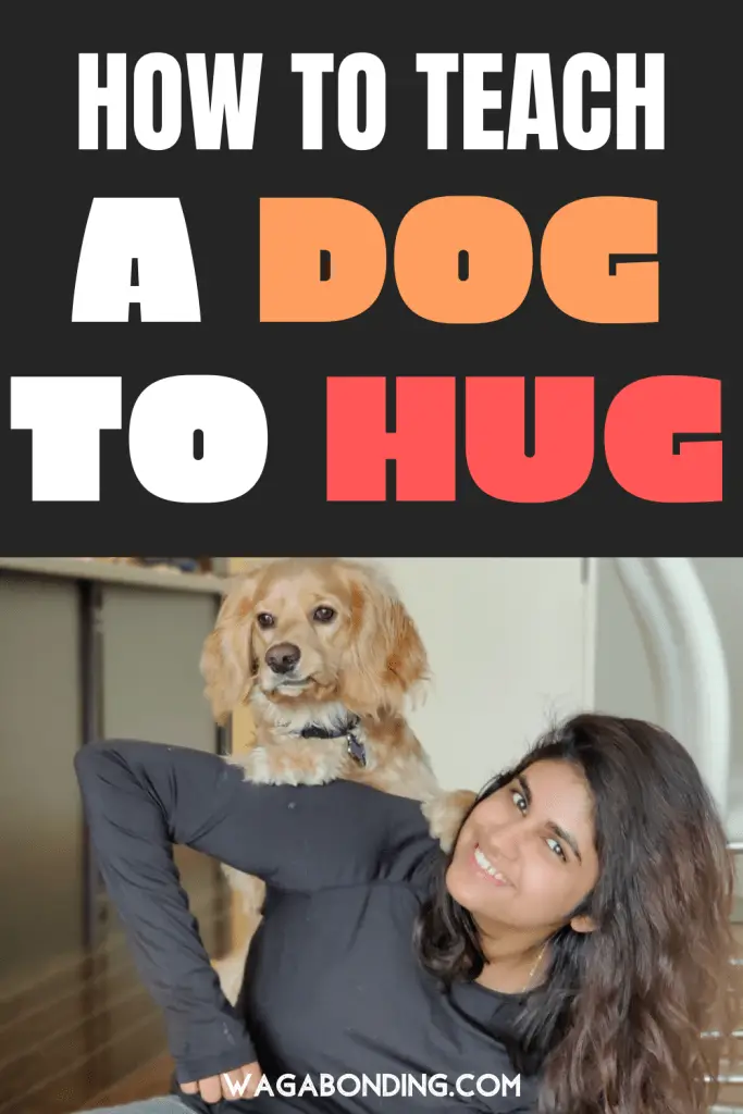 Best Tricks to Teach a Puppy
