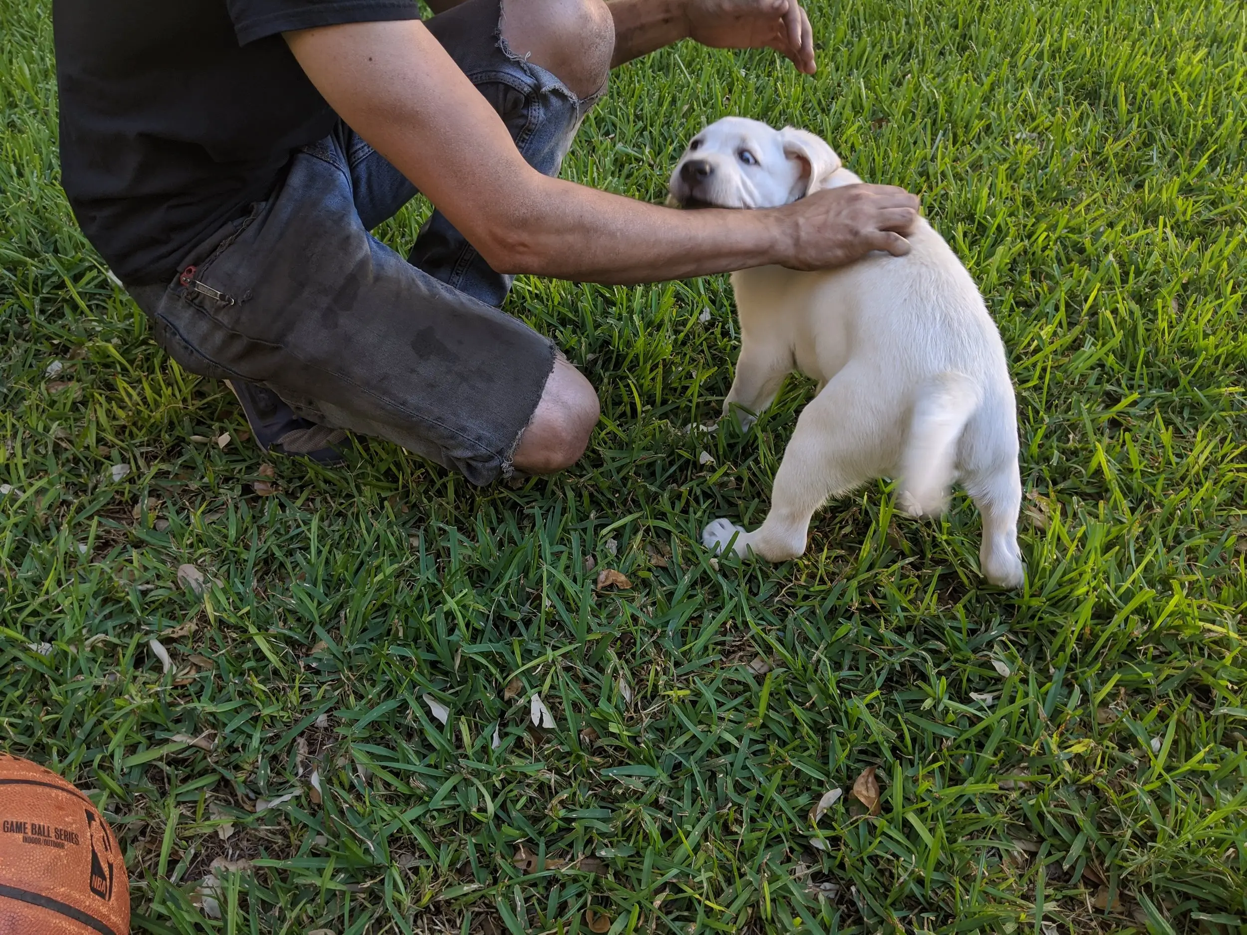 How Do You Get a Puppy to Stop Biting?