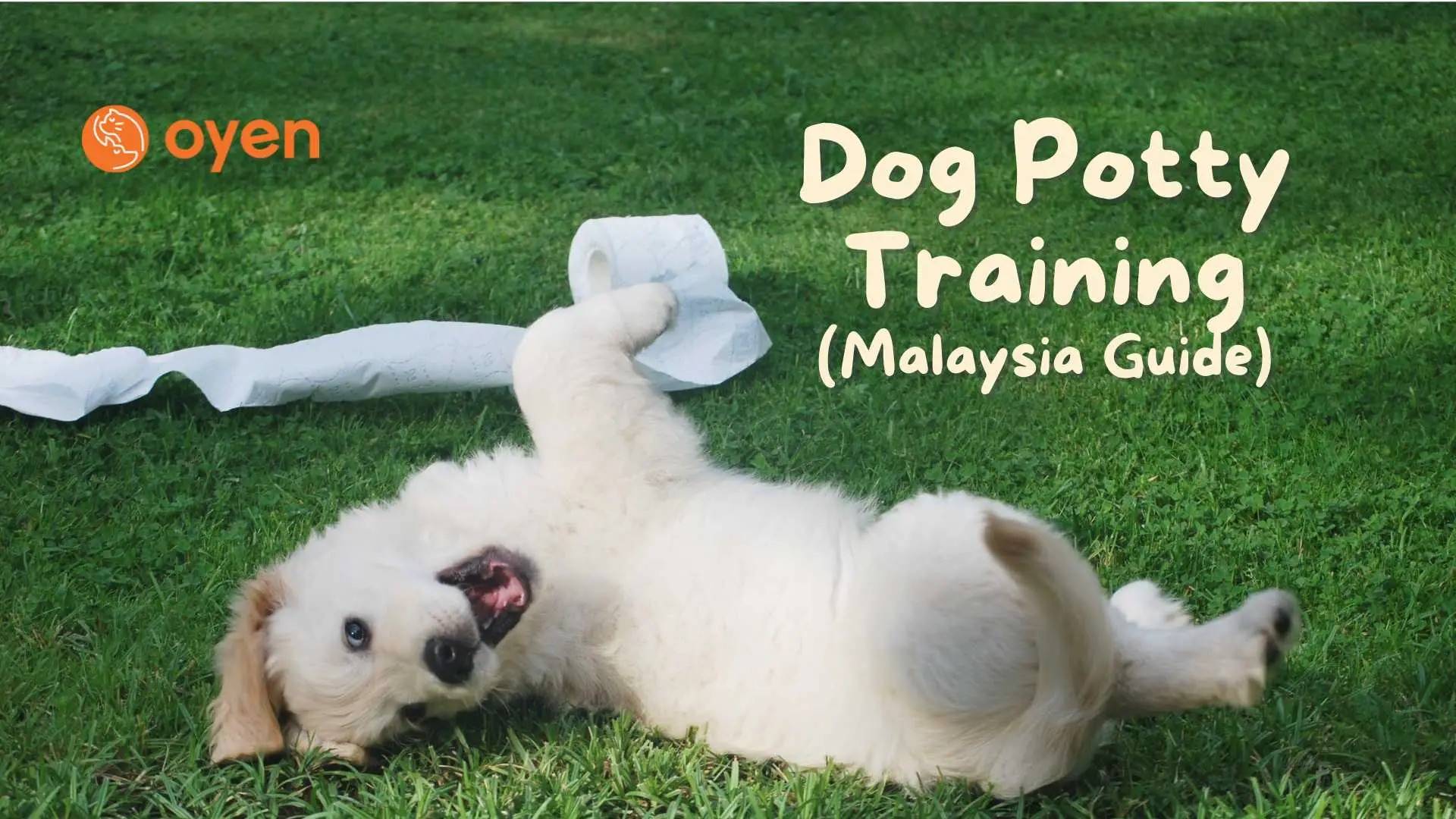 How Long to Potty Train a Puppy