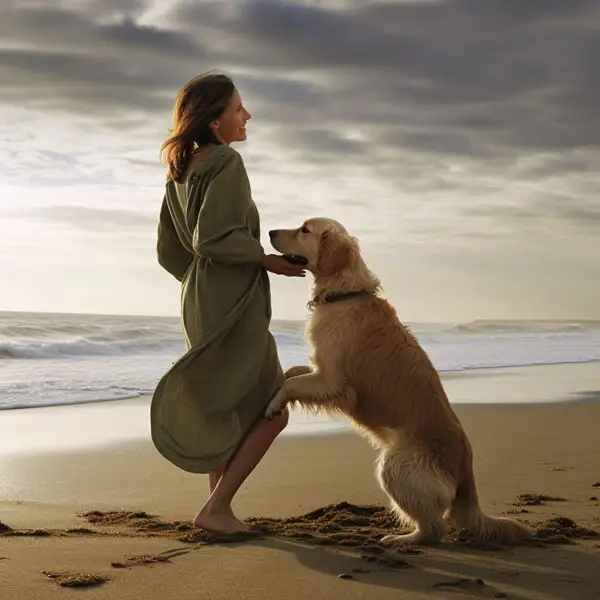 How to Get Dog from Jumping on People