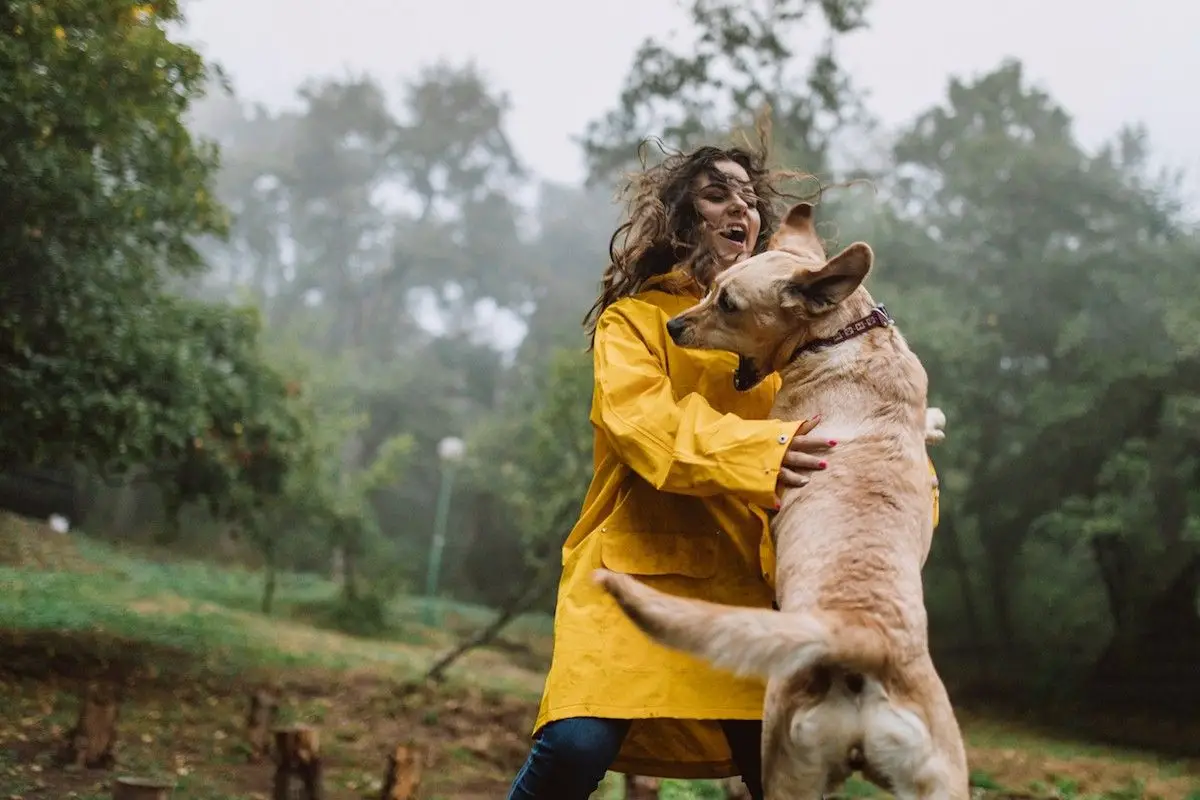 How to Get Dog from Jumping on People