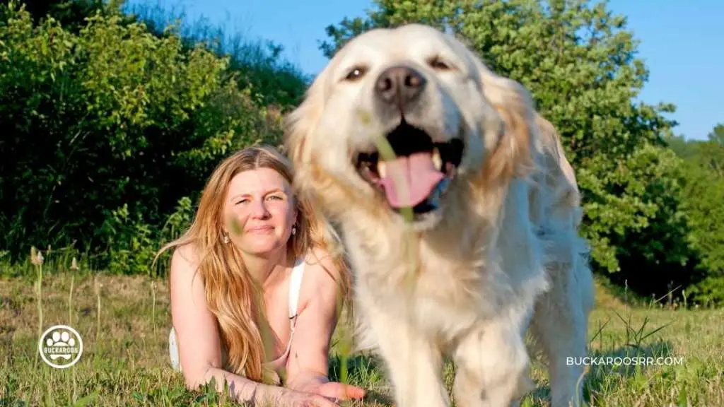 How to Get Dog from Jumping on People