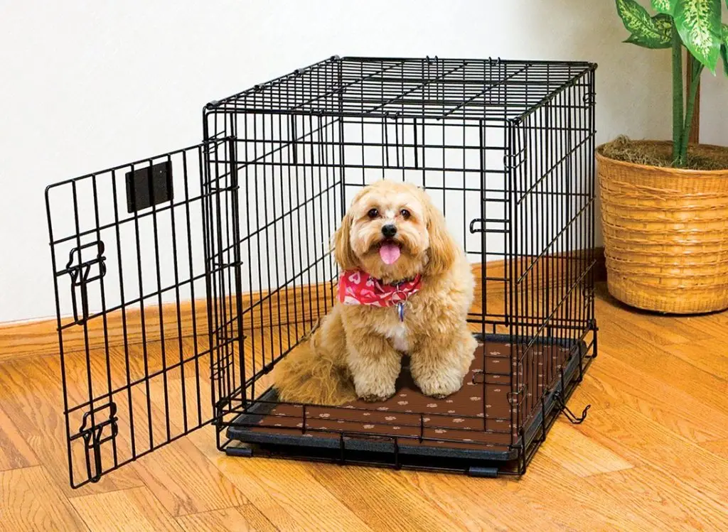 How to Crate Train Your Puppy in 3 Days
