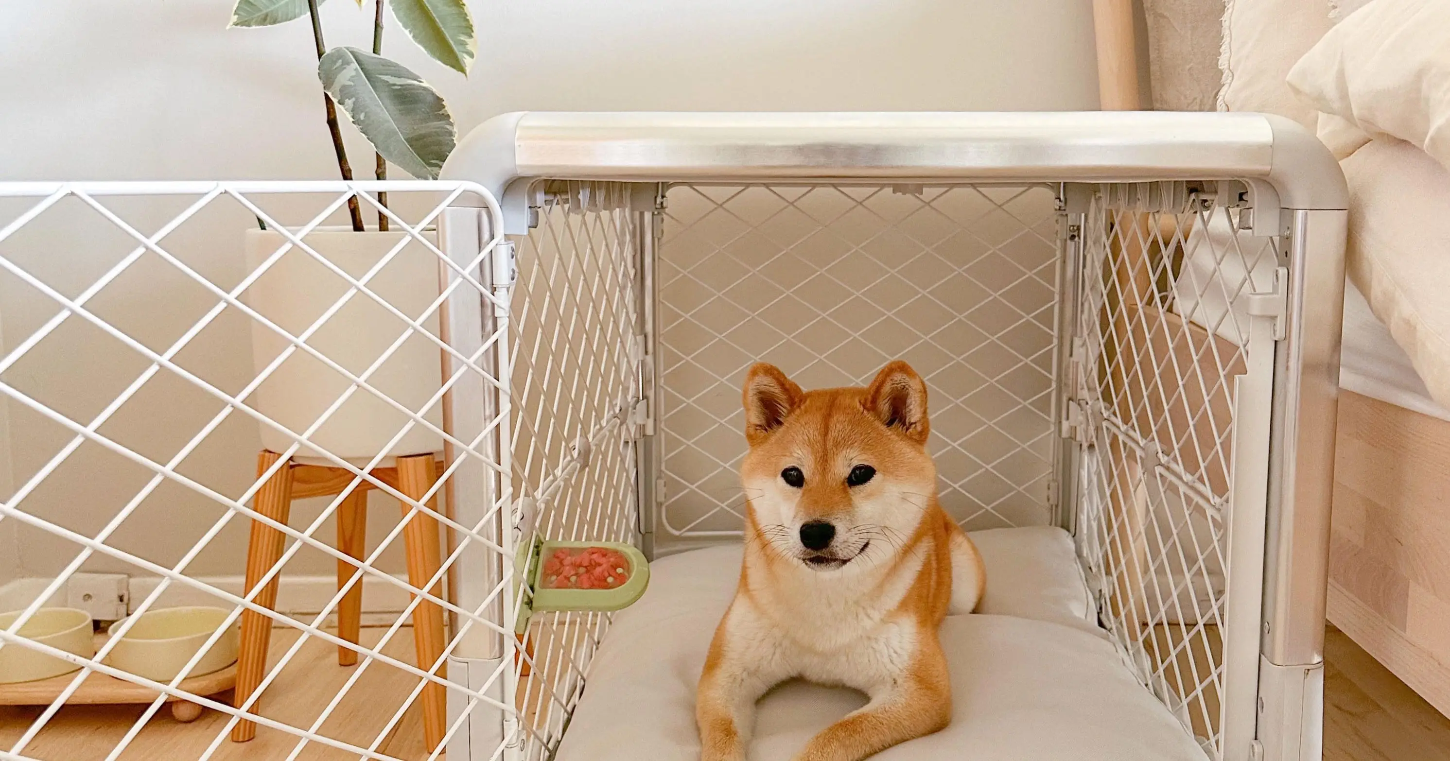 How Long Can a Dog Stay in a Crate?