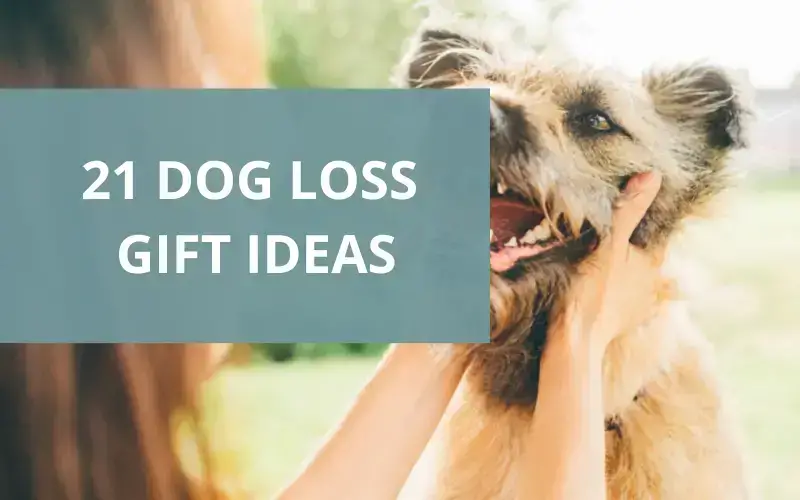 Gift for Someone Whose Dog Died