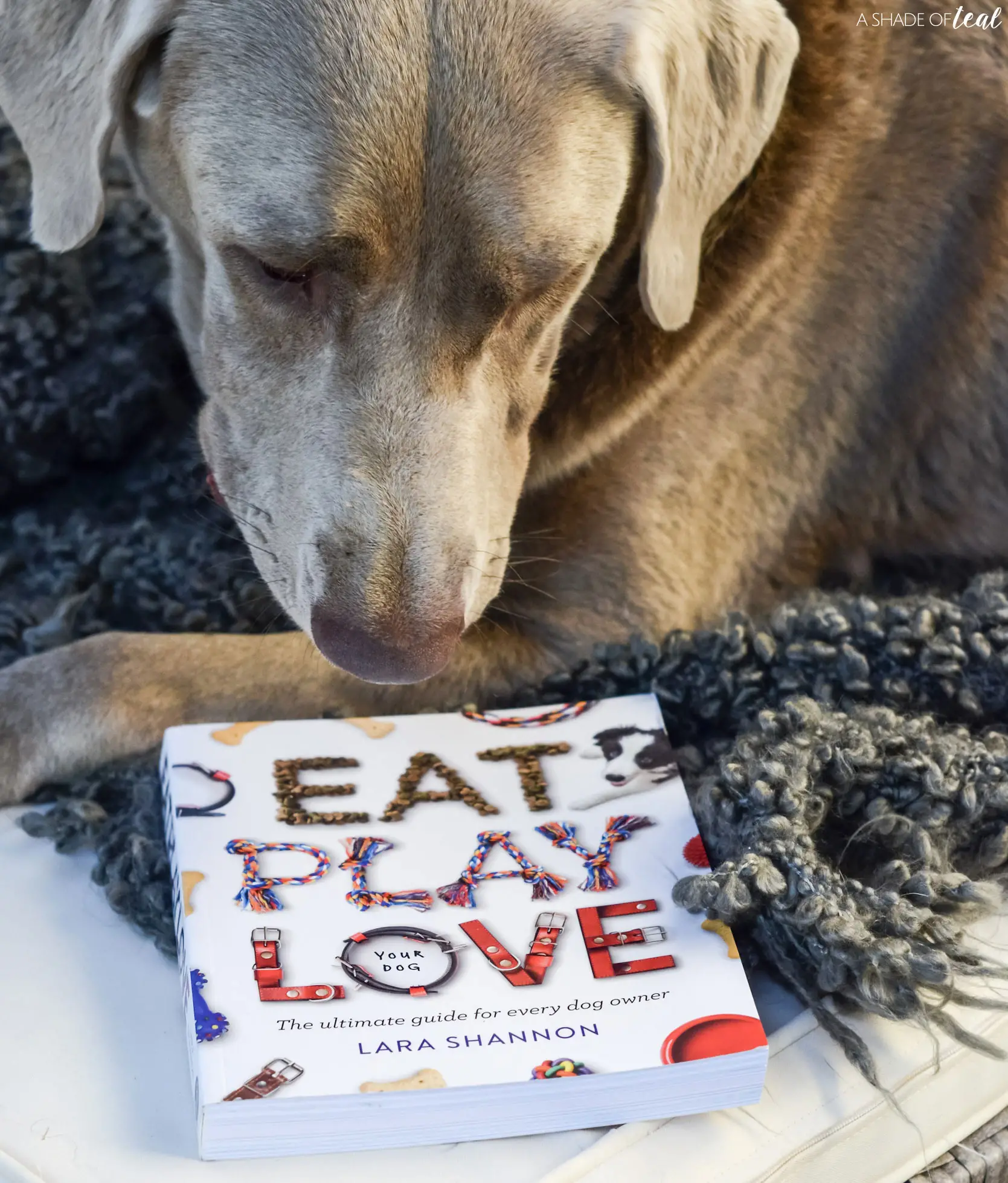 Gift for Someone Whose Dog Died