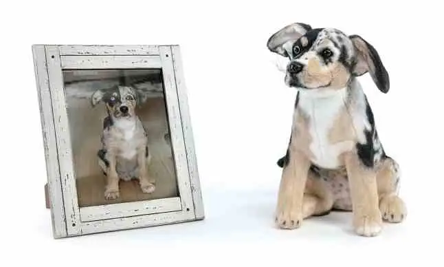 Gifts for People Who Lost Their Dog