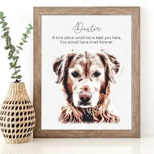 Gifts for People Who Lost Their Dog