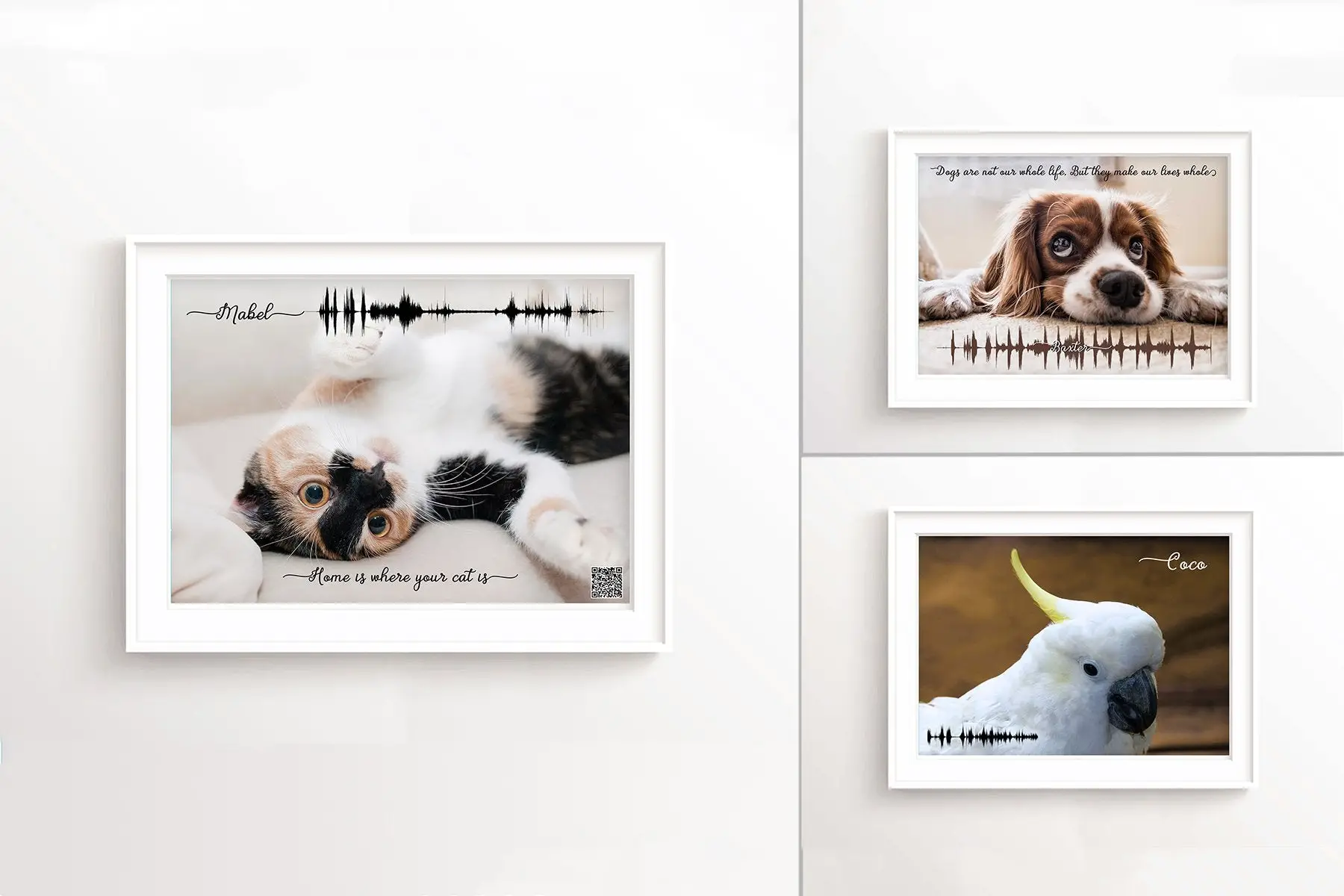 Gifts for People Who Lost Their Dog