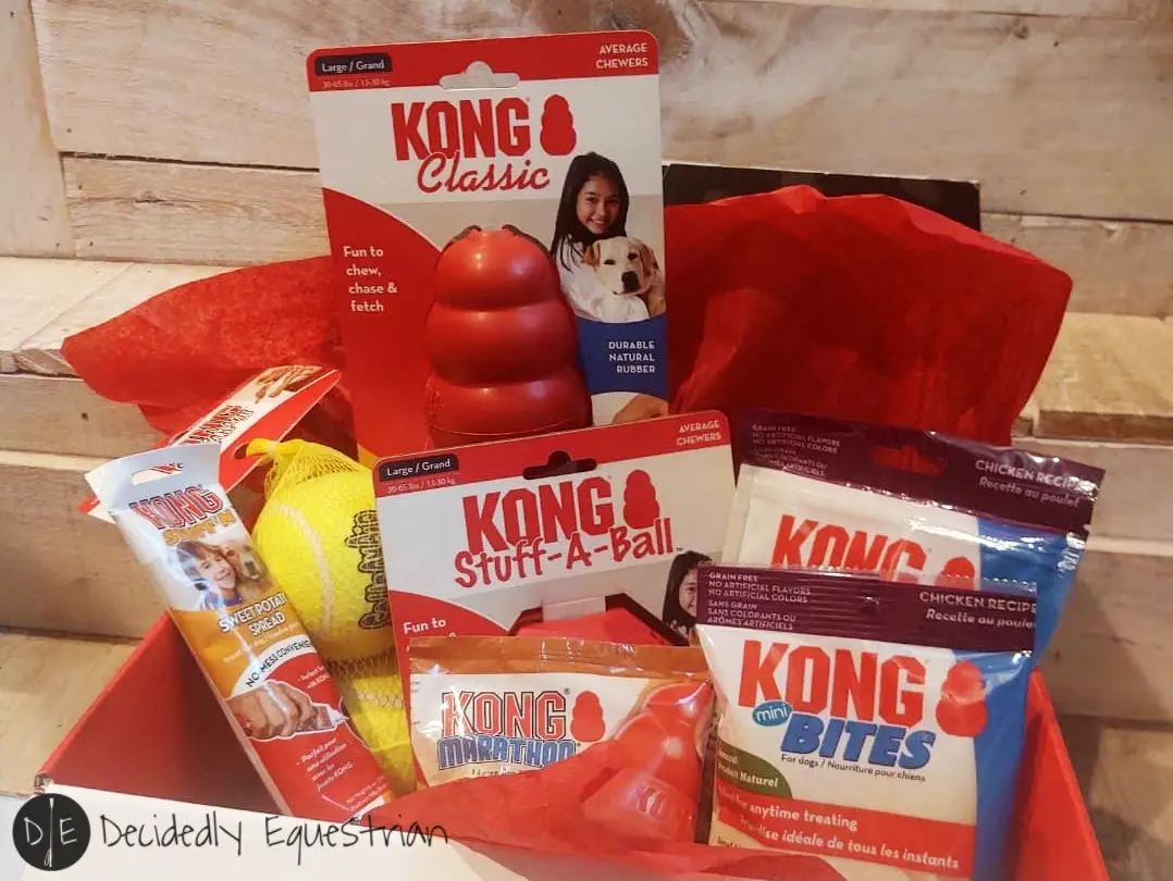 Dog Subscription Box for Heavy Chewers