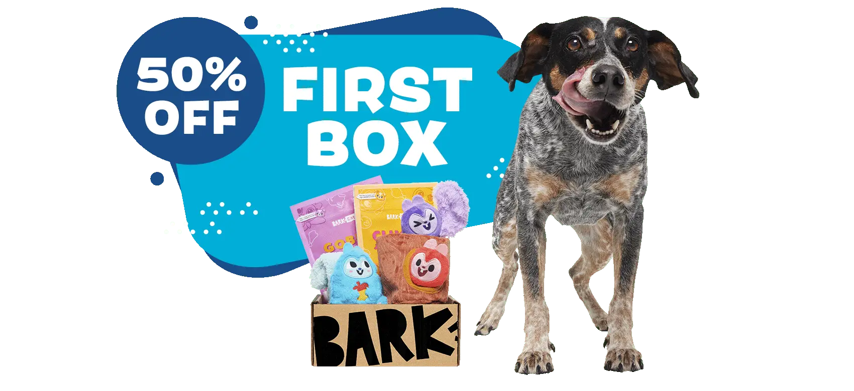 Dog Subscription Box for Heavy Chewers