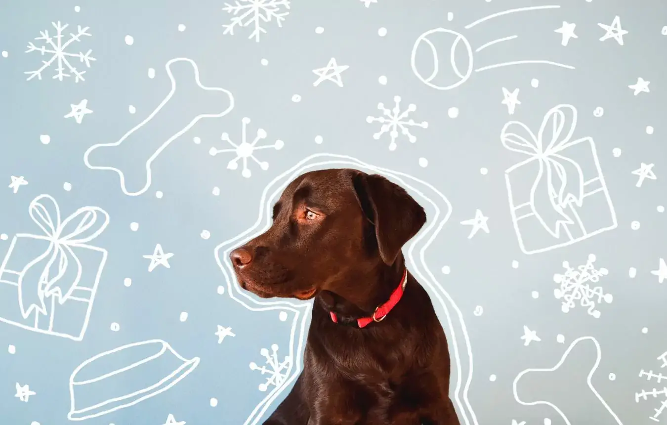 Labrador Retriever Gifts for Dog Lovers