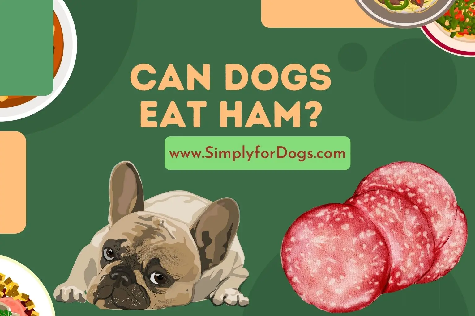 What Are the Foods That Dogs Can