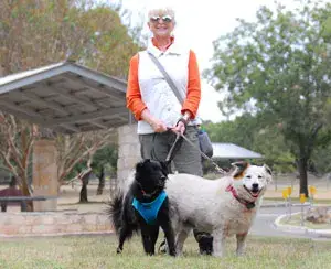 Fred the Basset Hound Smokey and the Bandit