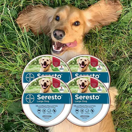 Cheapest Flea  Tick and Heartworm Prevention for Dogs