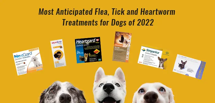 Cheapest Flea  Tick and Heartworm Prevention for Dogs