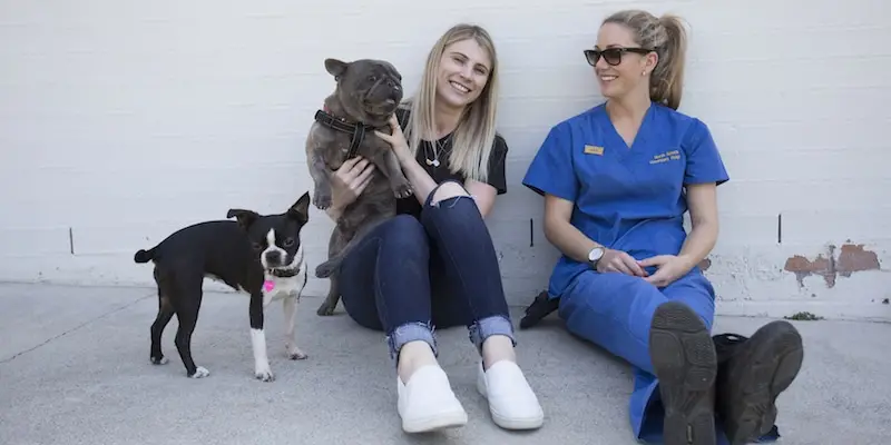 Flea Tick and Worm Treatment for Dogs