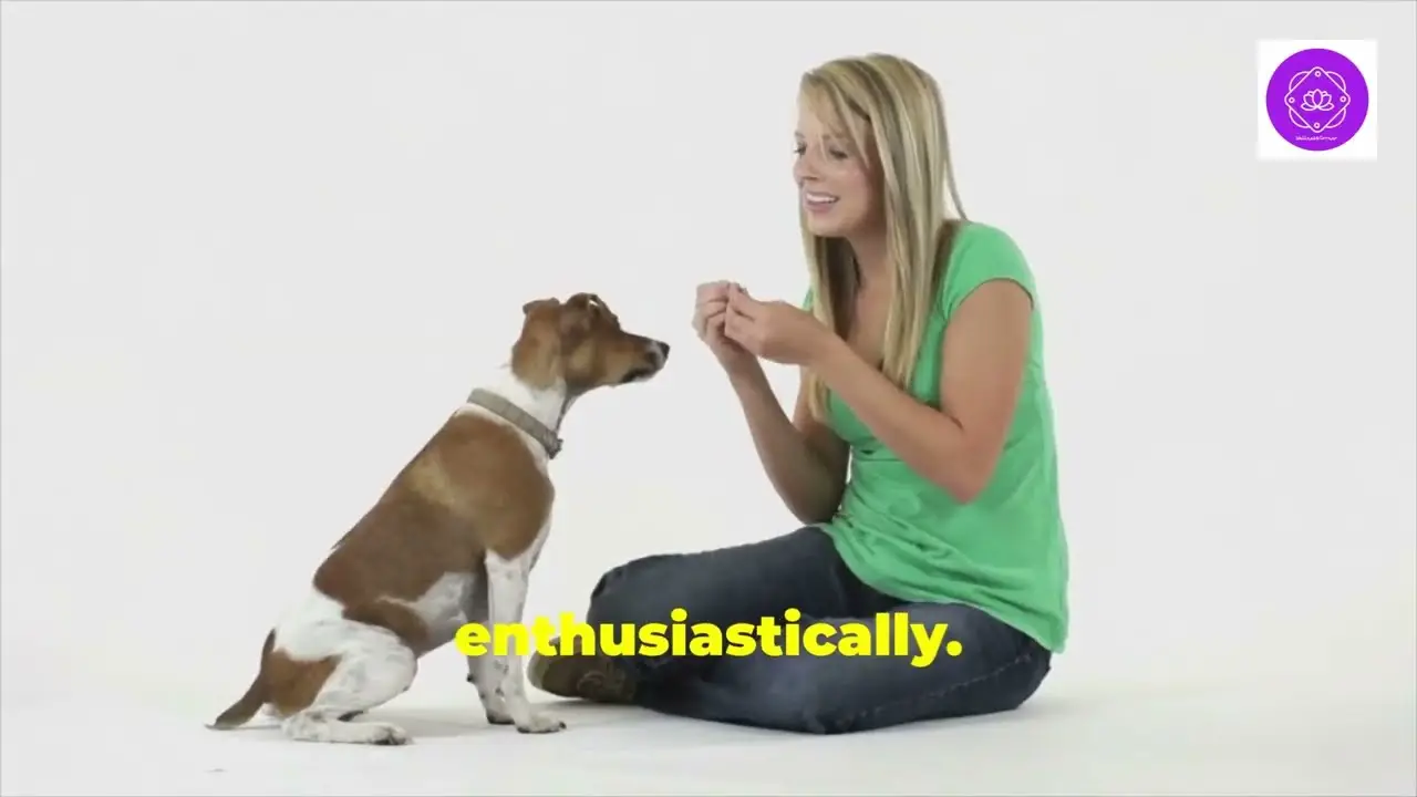 How to Teach a Dog to Sit