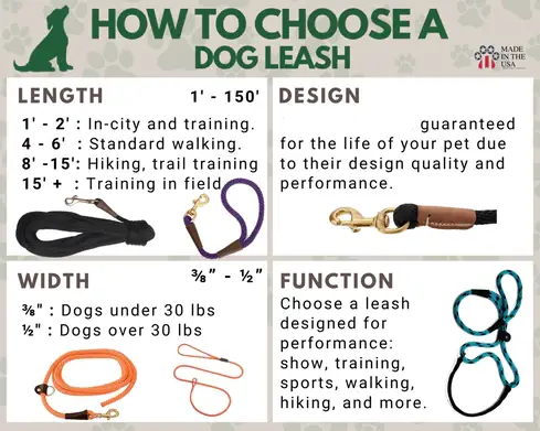 How to Teach a Puppy to Walk on a Leash