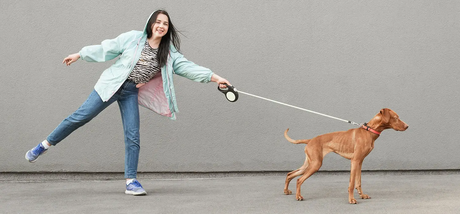 How to Train Your Dog to Walk with a Leash