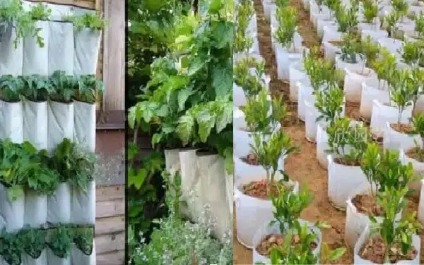 Vải Địa Kỹ Thuật Trồng Cây - Giải Pháp Xanh Cho Tương Lai
