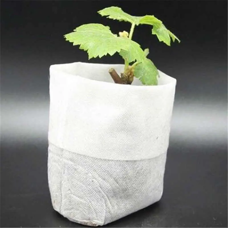 Vải Địa Trồng Cây - Giải Pháp Xanh Cho Không Gian Sống Hiện Đại