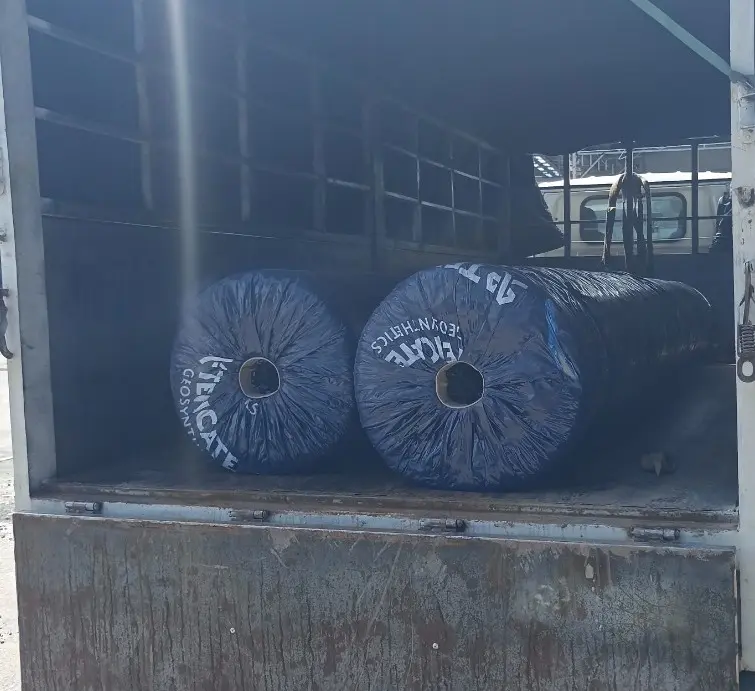 Vải Địa Kỹ Thuật TS60 Giải Pháp Toàn Diện Cho Cơ Sở Hạ Tầng Hiện Đại