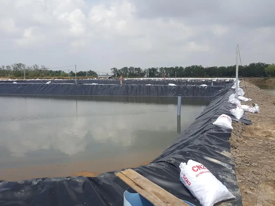 Bạt Lót Hồ Tôm- Bí Quyết Vàng Cho Vụ Mùa Bội Thu
