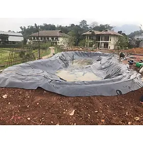 Bạt Lót Hồ Cá Koi - Bí Quyết Vàng Cho Hồ Cá Đẹp Bền