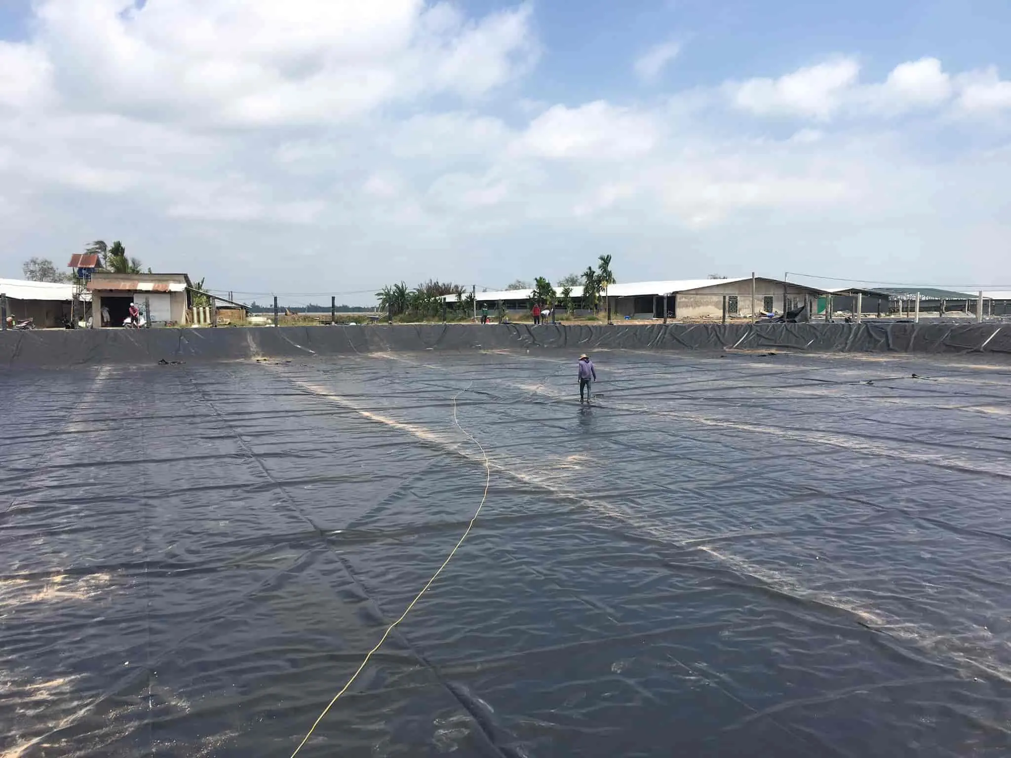 Bạt HDPE Nuôi Cá - Bí Quyết Vàng Cho Vụ Mùa Bội Thu