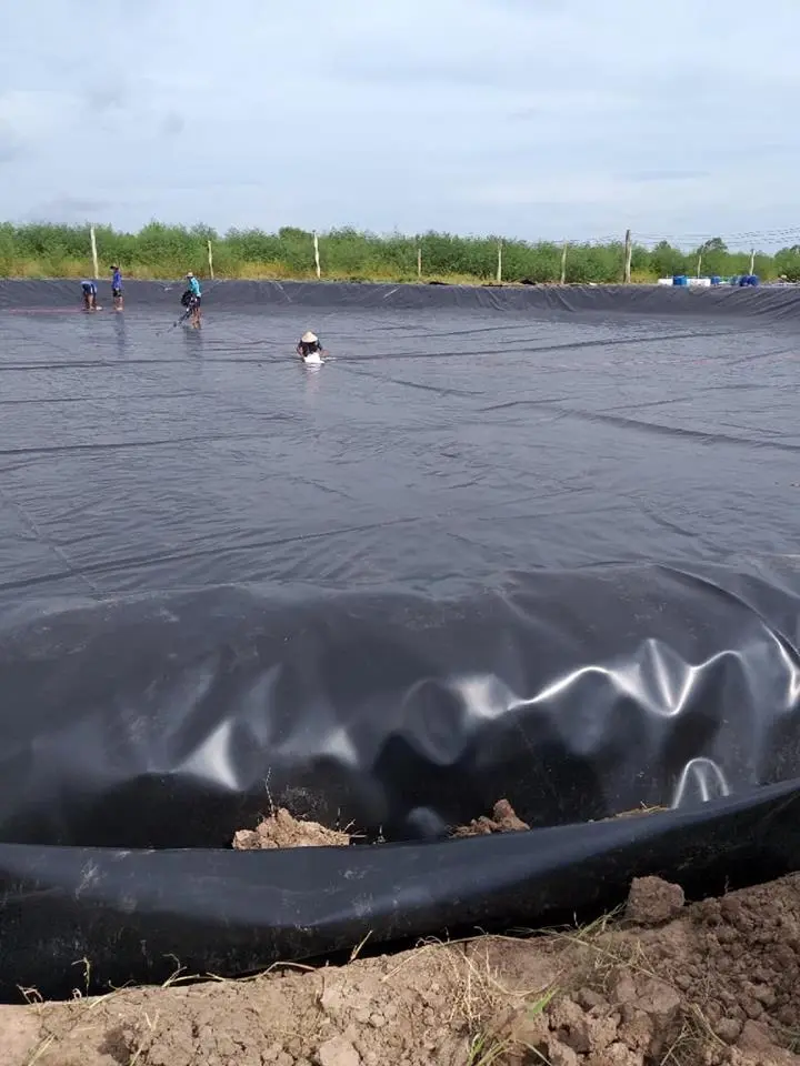 Bạt Đen Lót Hồ Cá - Bí Quyết Vàng Cho Thủy Sản Phát Triển