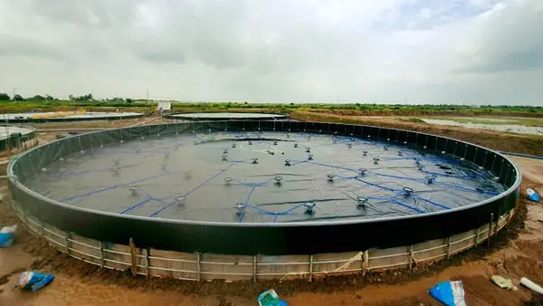 Bạt Lót Hồ Tôm HDPE - Bí Quyết Vàng Cho Nuôi Trồng Thủy Sản Bền Vững