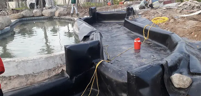 Bạt Lót Hồ Tôm HDPE - Bí Quyết Vàng Cho Nuôi Trồng Thủy Sản Bền Vững