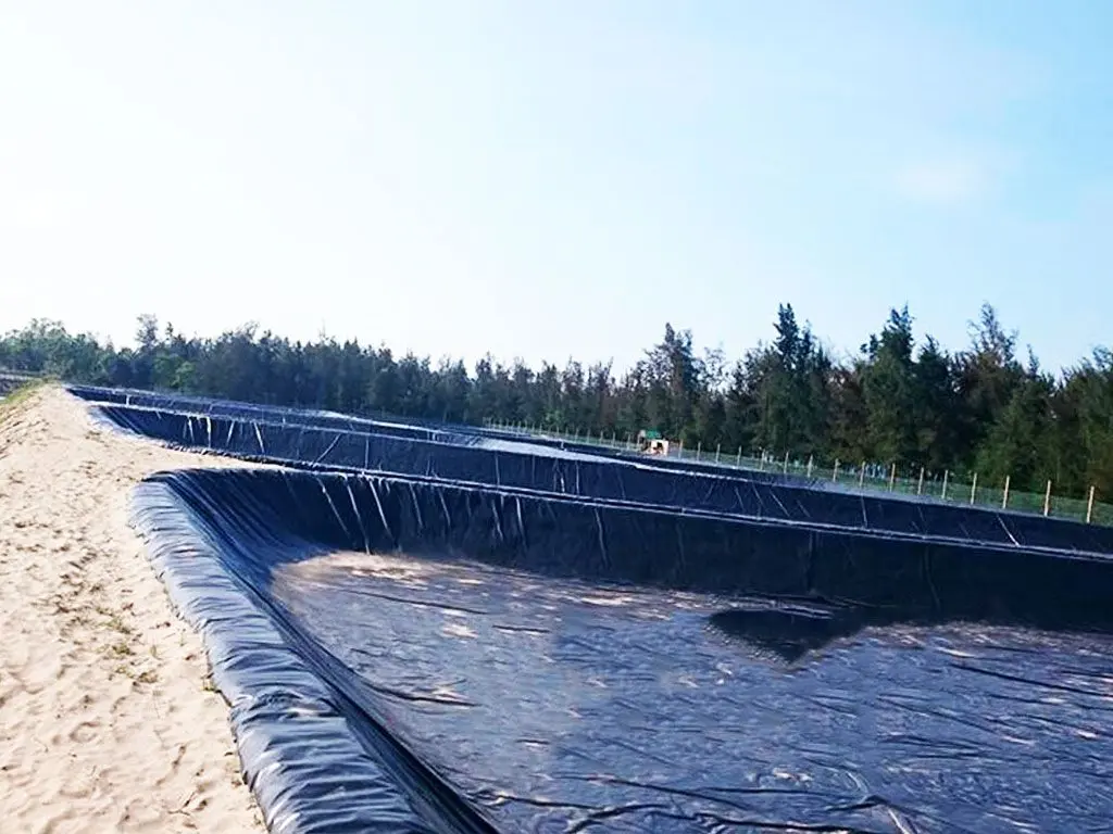 Bạt Lót Ao Hồ - Bí Quyết Vàng Cho Thủy Sản và Môi Trường Xanh