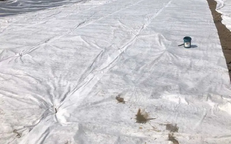 Giá Vải Địa Kỹ Thuật TS30 - Bí Mật Đằng Sau Chi Phí và Lựa Chọn Thông Minh