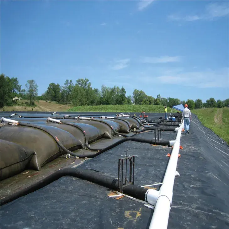 Thi Công Ống Geotube: Giải Pháp Toàn Diện Cho Các Vấn Đề Về Bờ Kè