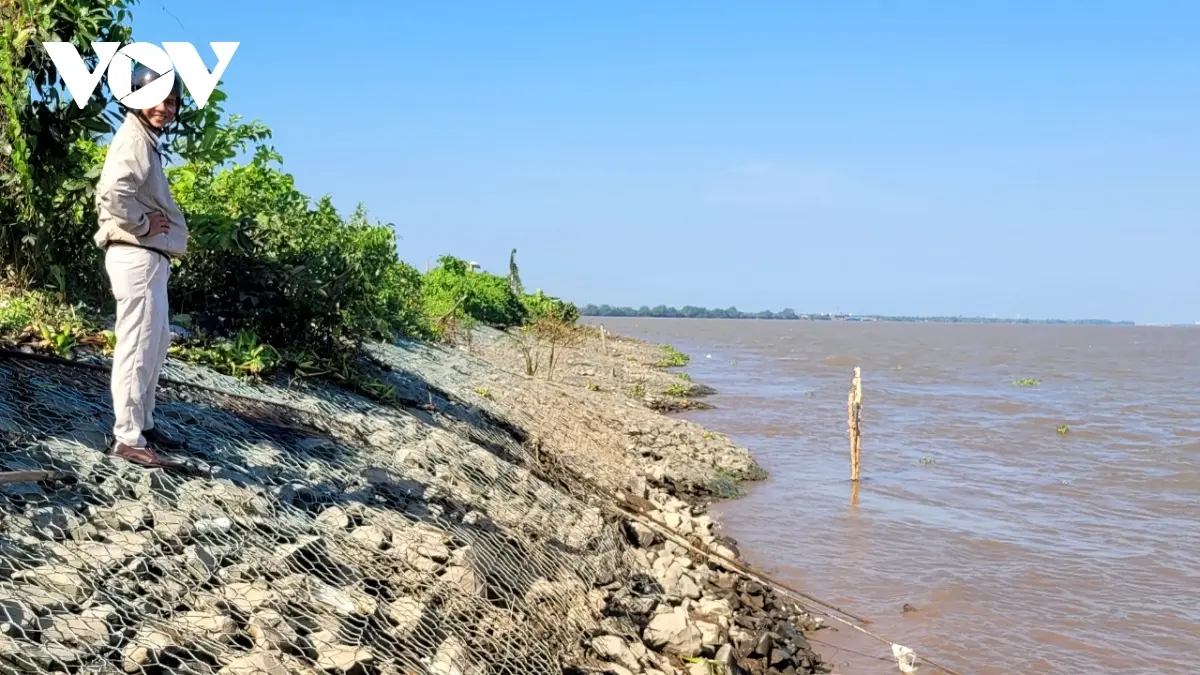 Kè Rọ Đá - Lá Chắn Xanh Bảo Vệ Bờ Sông, Bờ Biển